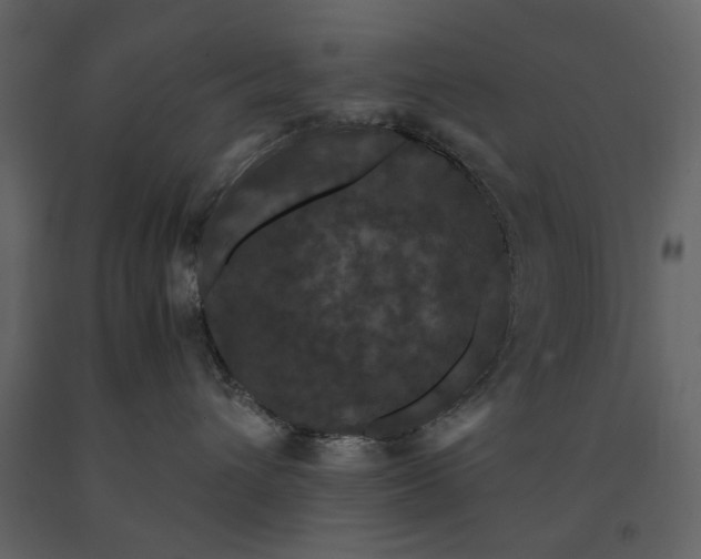 X0000091080432200708271240