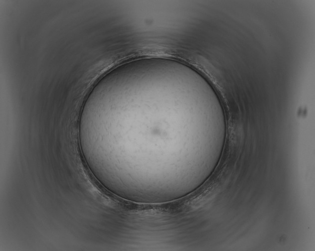 X0000091080433200708271239