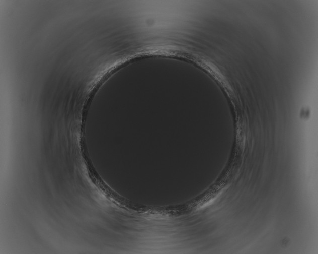 X0000091080434200708271239