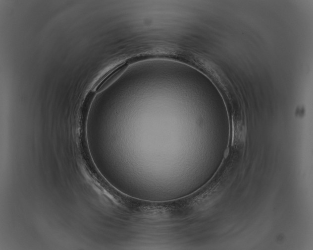 X0000091080435200708271239