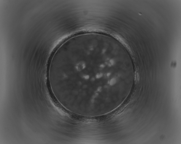 X0000091080438200708271239