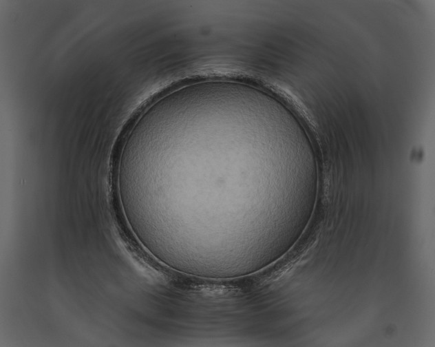 X0000091080439200708271239