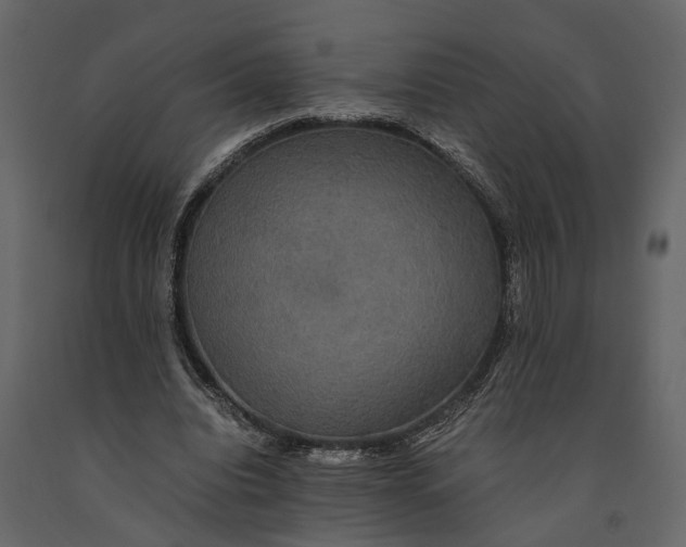 X0000091080440200708271239