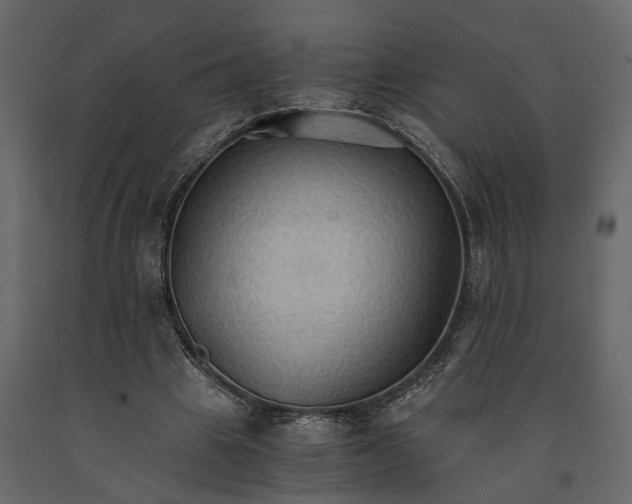 X0000091080441200708271239