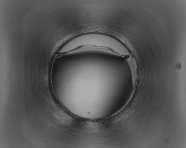 X0000091080442200708271239