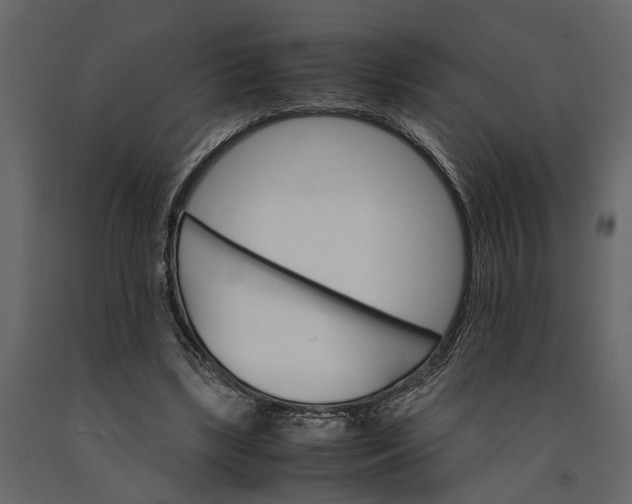 X0000091080443200708271239