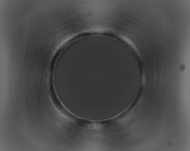 X0000091080444200708271239