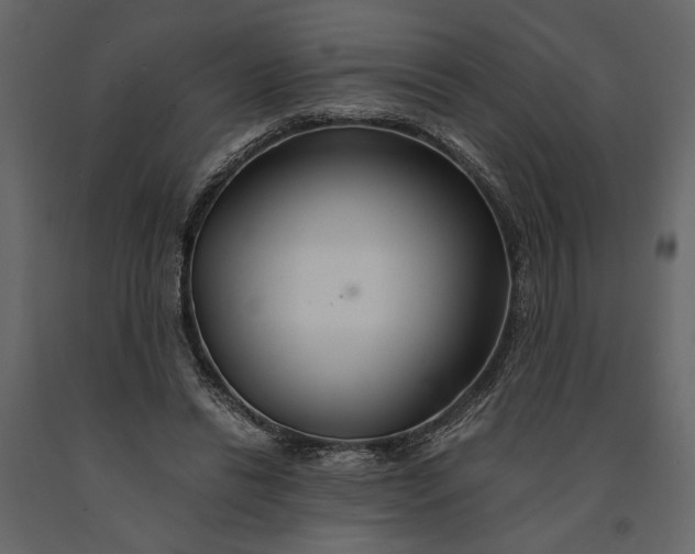 X0000091080446200708271239