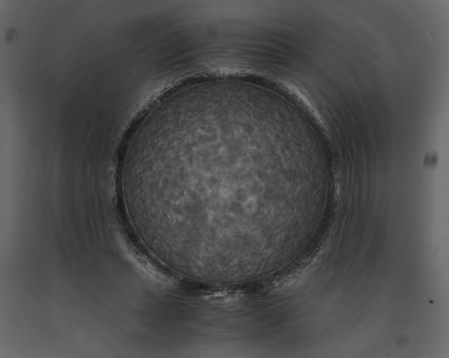 X0000091080447200708271239