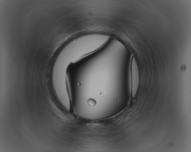 X0000091080448200708271239