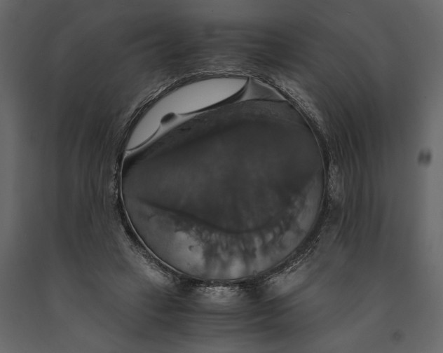 X0000091080449200708271239