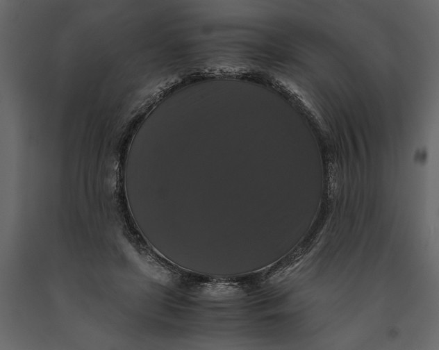 X0000091080451200708271239