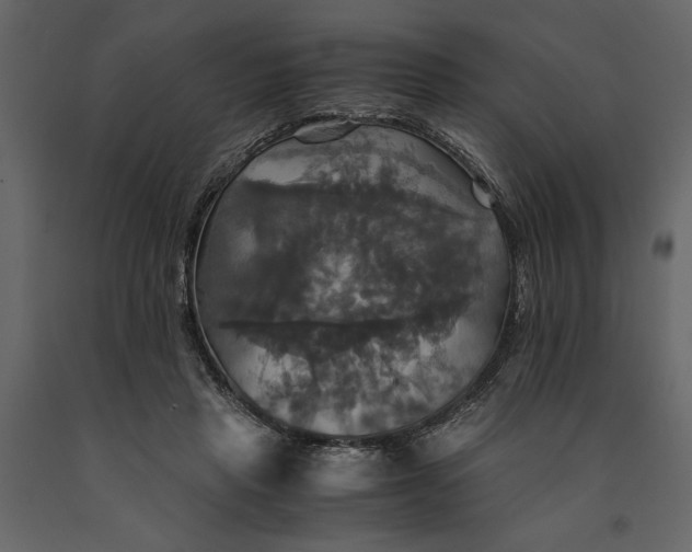 X0000091080453200708271239