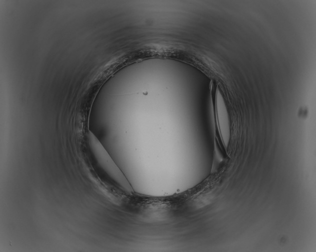 X0000091080456200708271239