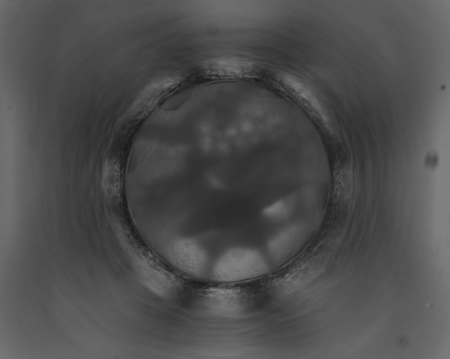 X0000091080457200708271239