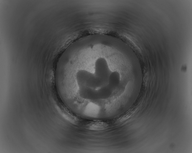 X0000091080459200708271239