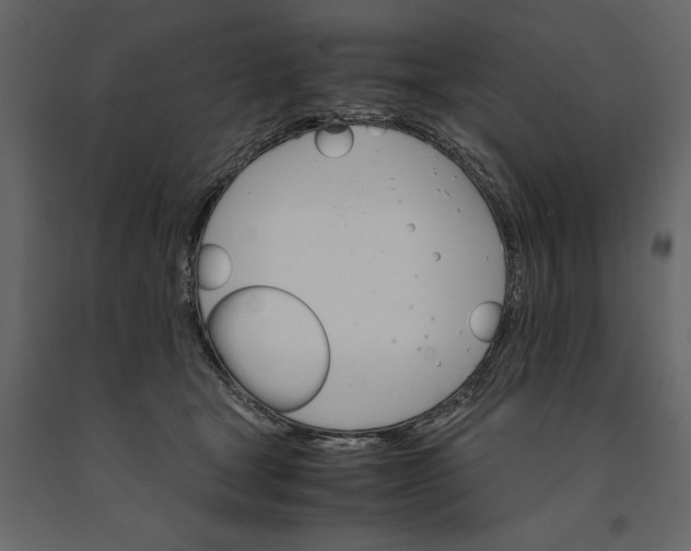 X0000091080465200708271239