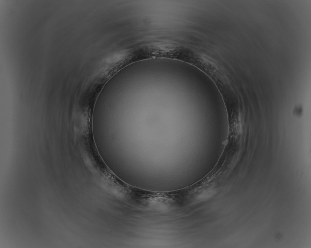 X0000091080468200708271239