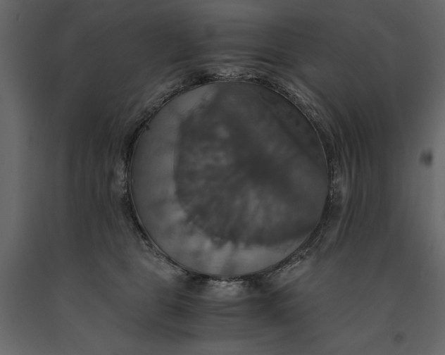 X0000091080469200708271239