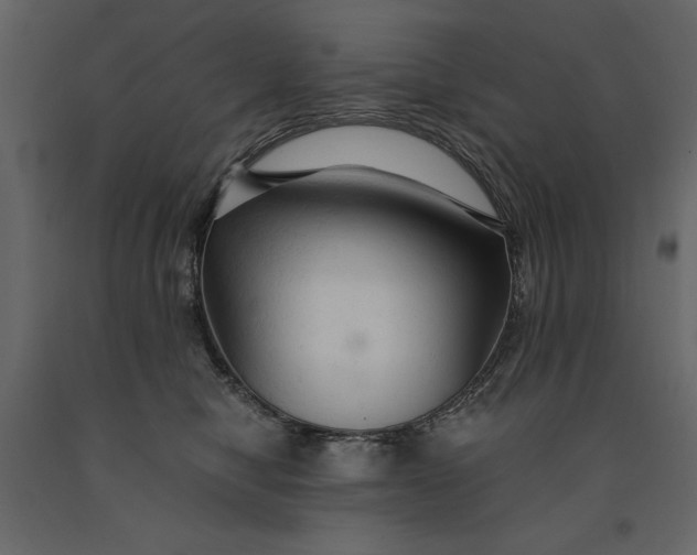 X0000091080470200708271239