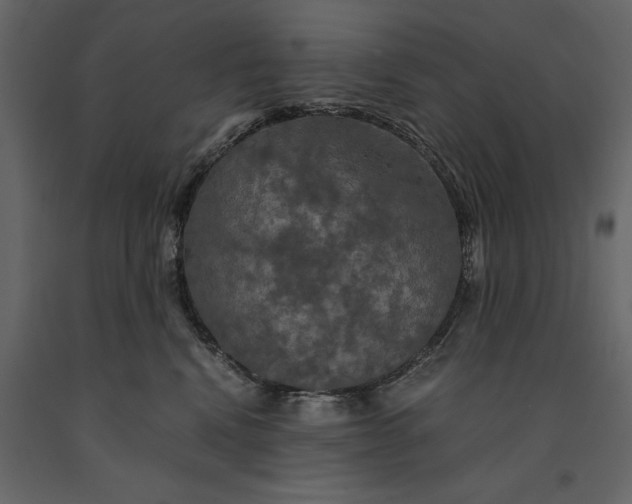 X0000091080472200708271239