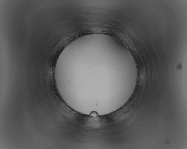 X0000091080473200708271239