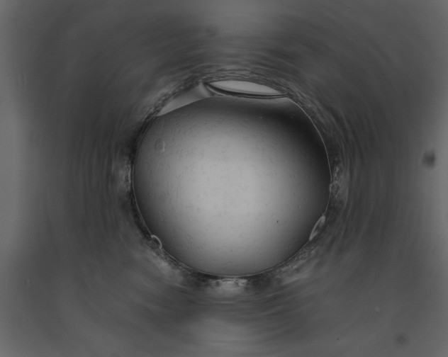 X0000091080474200708271240