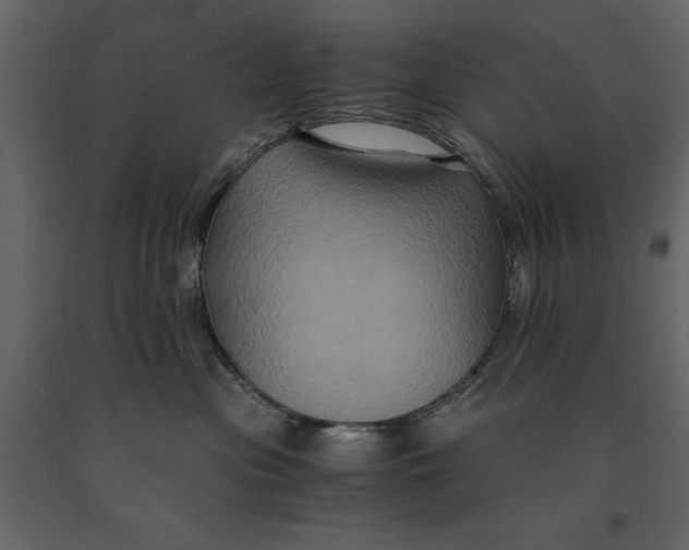 X0000091080477200708271240