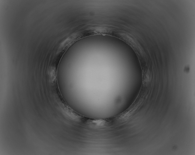 X0000091080478200708271240