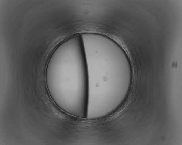 X0000091080481200708271239