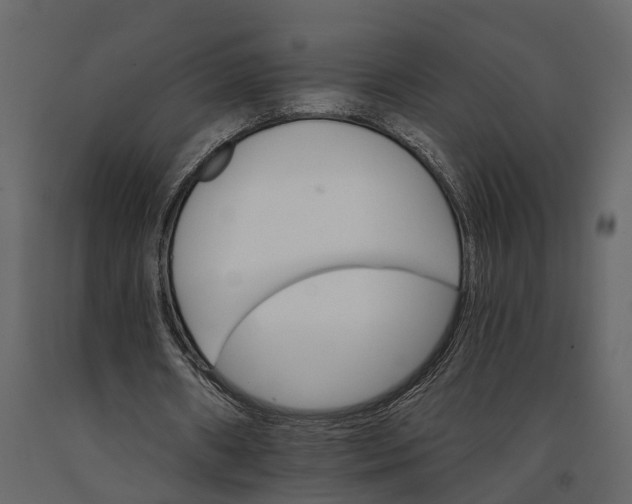 X0000091080482200708271239