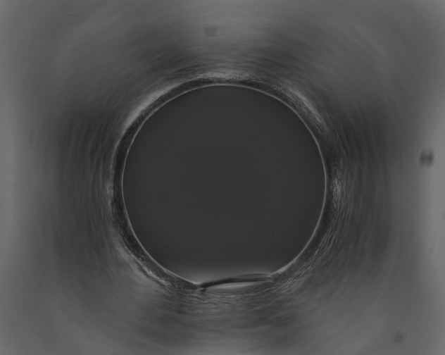 X0000091080484200708271239