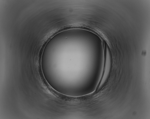 X0000091080485200708271239