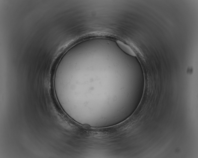 X0000091080486200708271239