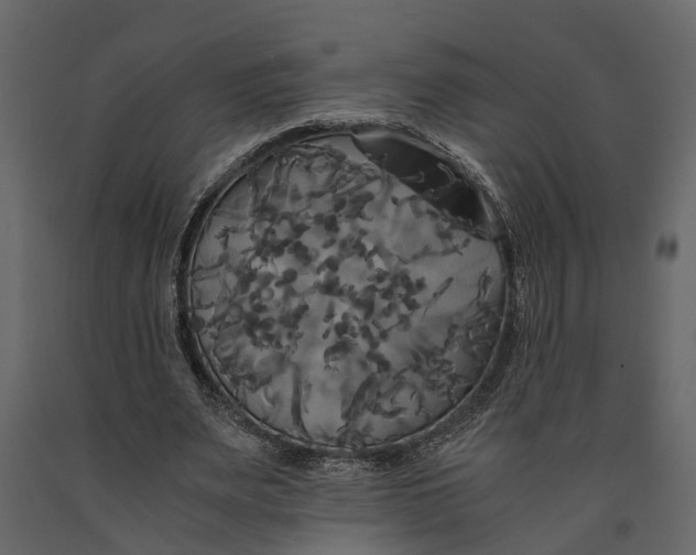 X0000091080487200708271239