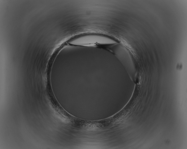 X0000091080488200708271239