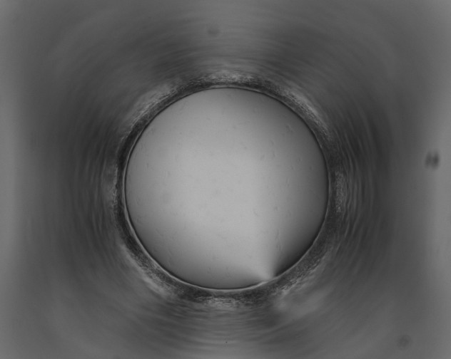 X0000091080490200708271239