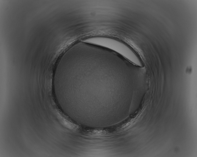 X0000091080493200708271239