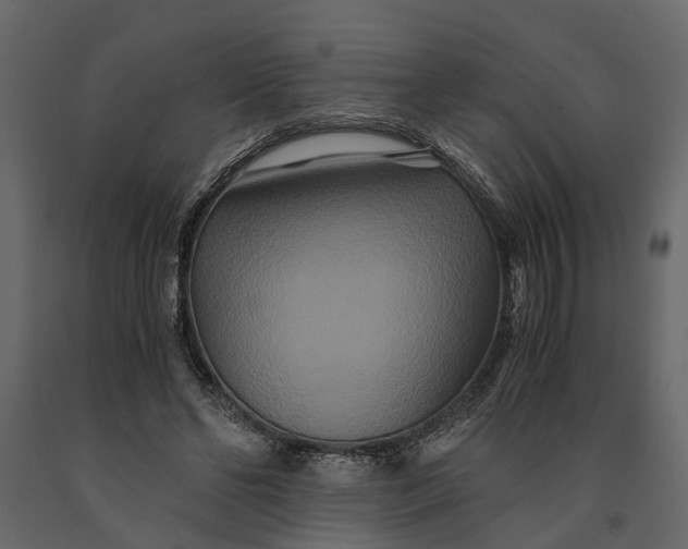 X0000091080494200708271239