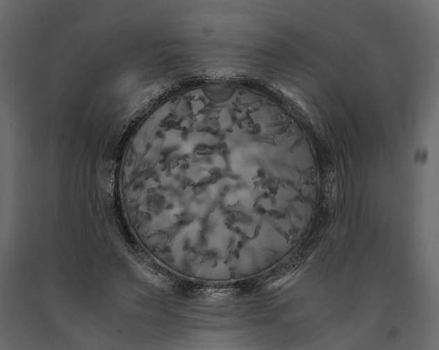 X0000091080495200708271239