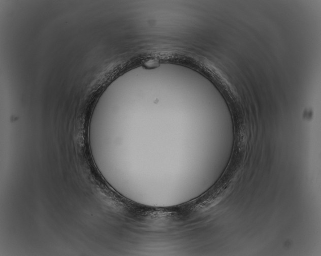 X0000091080497200708271239