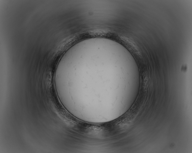 X0000091080498200708271239