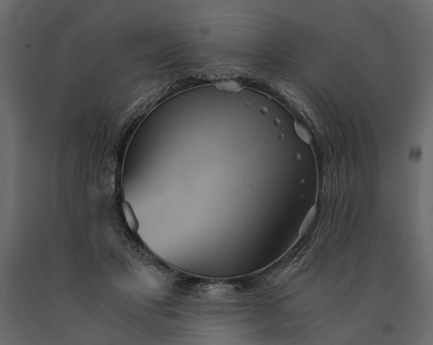 X0000091080501200708271239