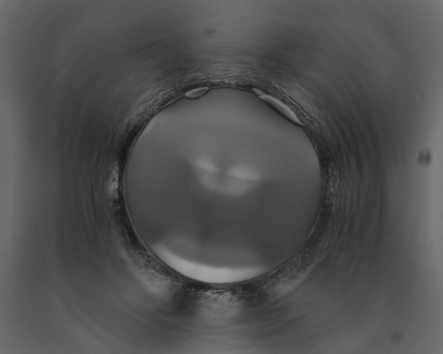 X0000091080502200708271239