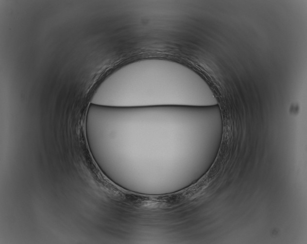 X0000091080504200708271239