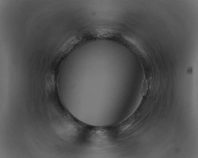 X0000091080506200708271239