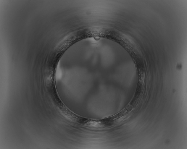 X0000091080507200708271239