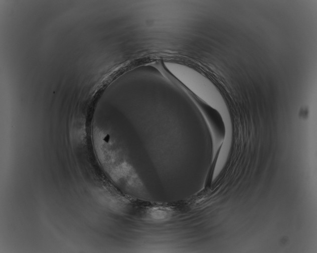 X0000091080508200708271239