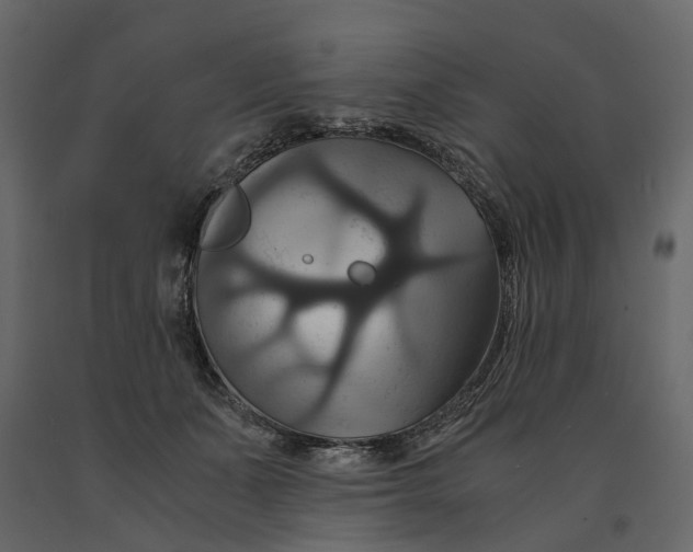 X0000091080511200708271239