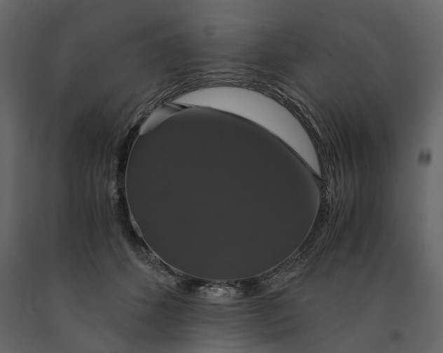 X0000091080512200708271239